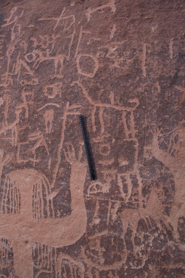 Image of TES22_HA1 4