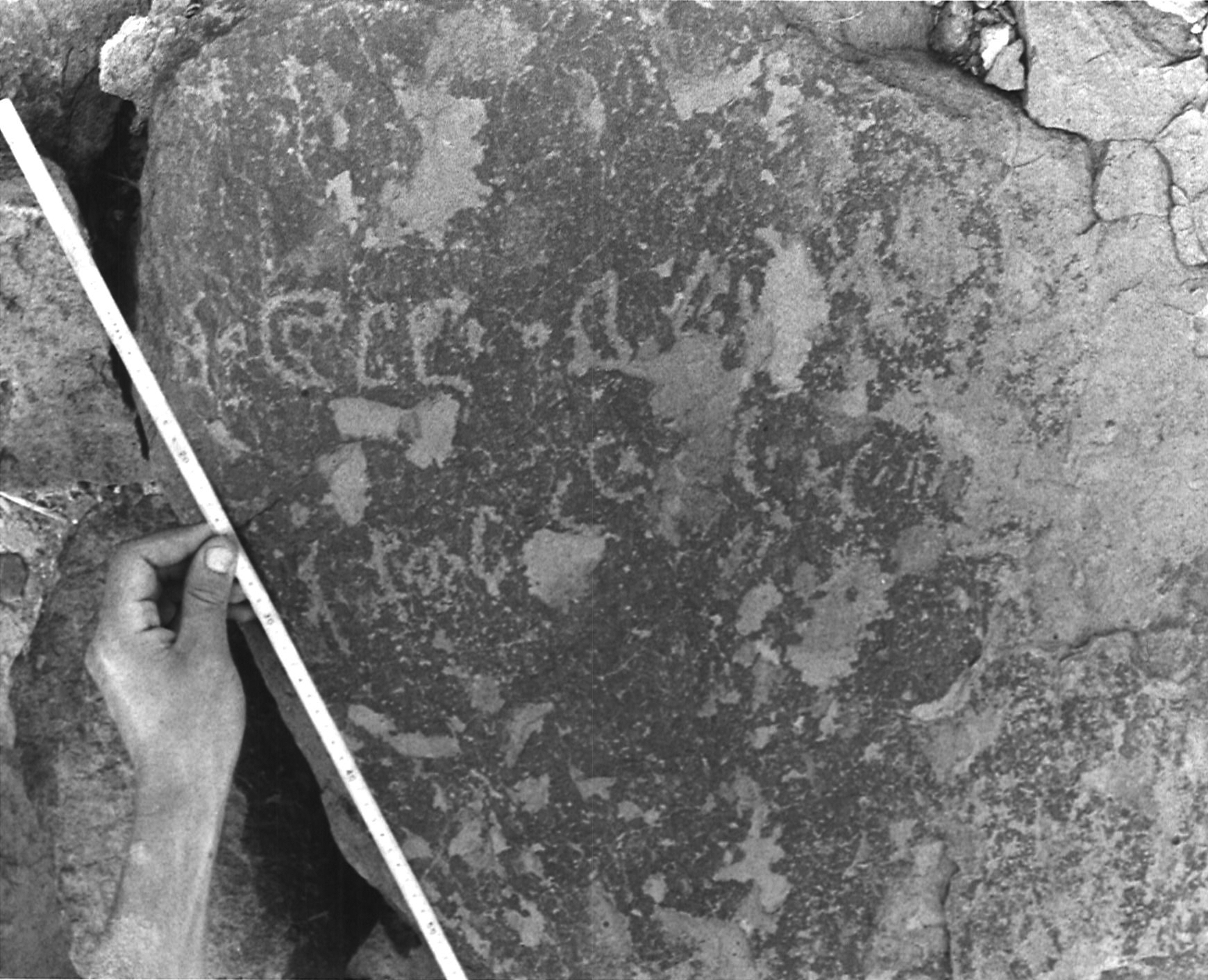 inscription of siglum TF 14