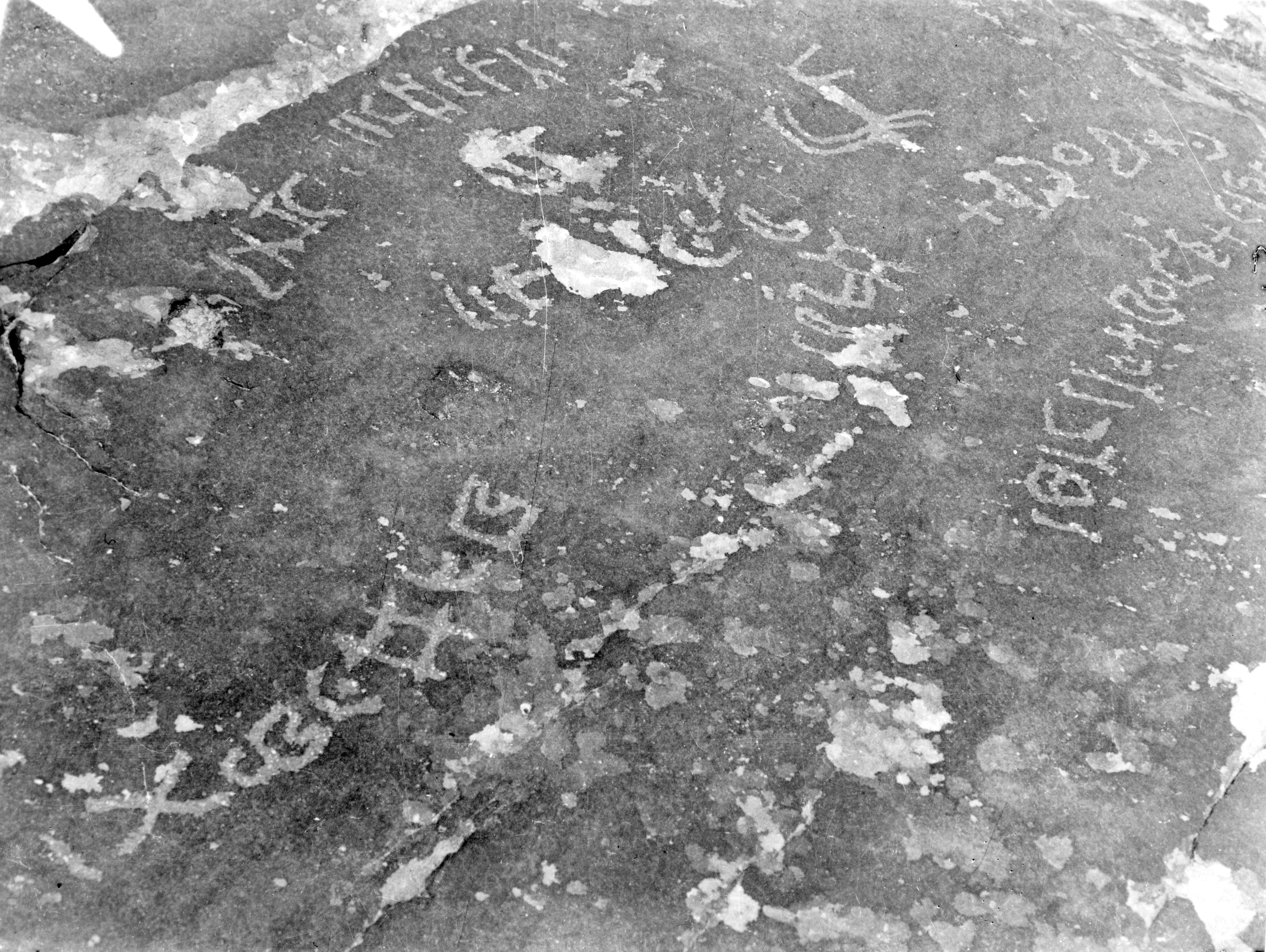 inscription of siglum TIJ 190