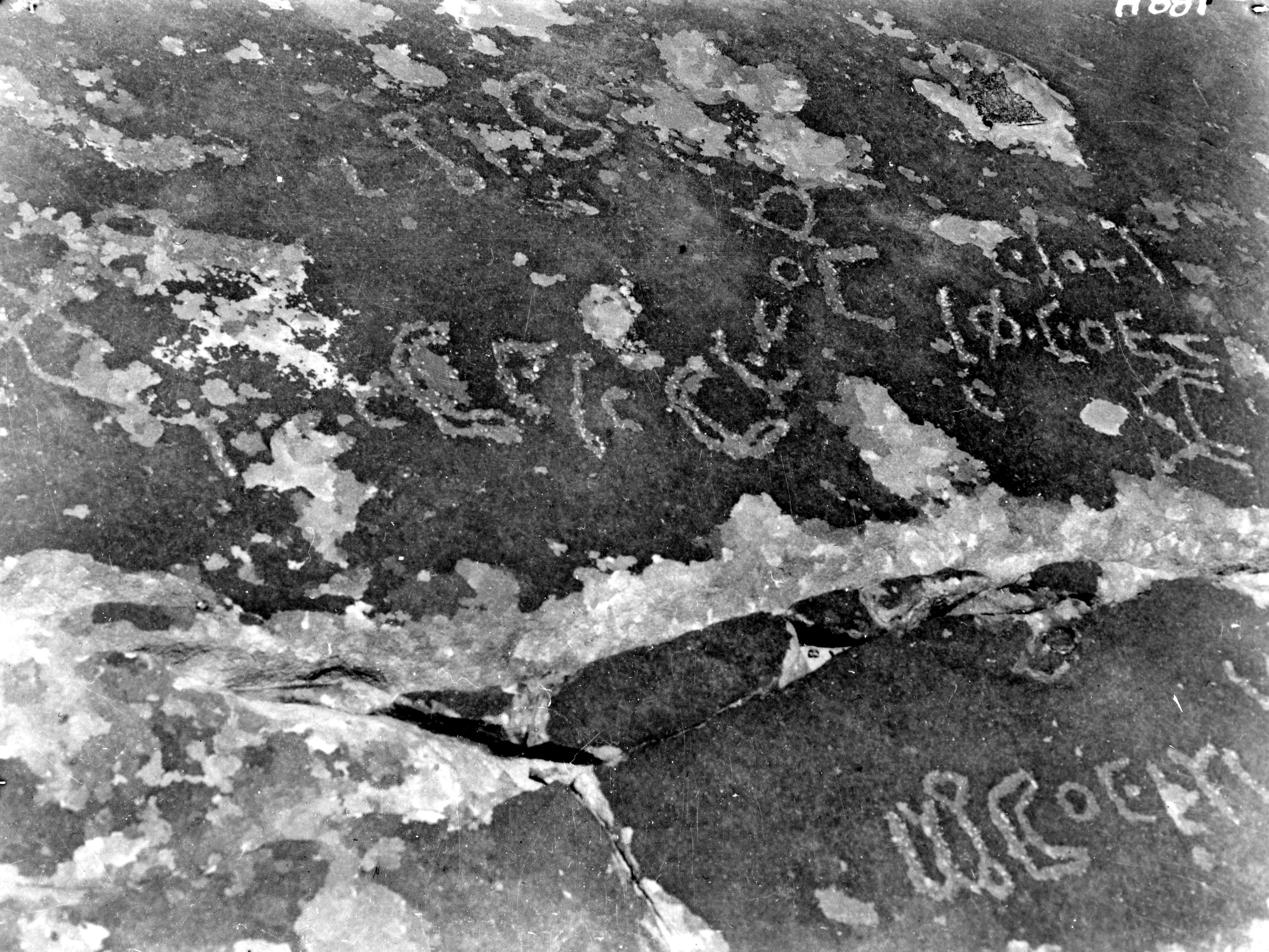 inscription of siglum TIJ 195