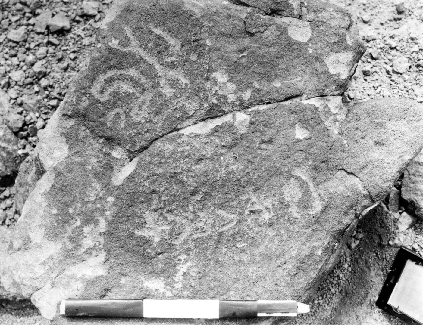 inscription of siglum TIJ 403