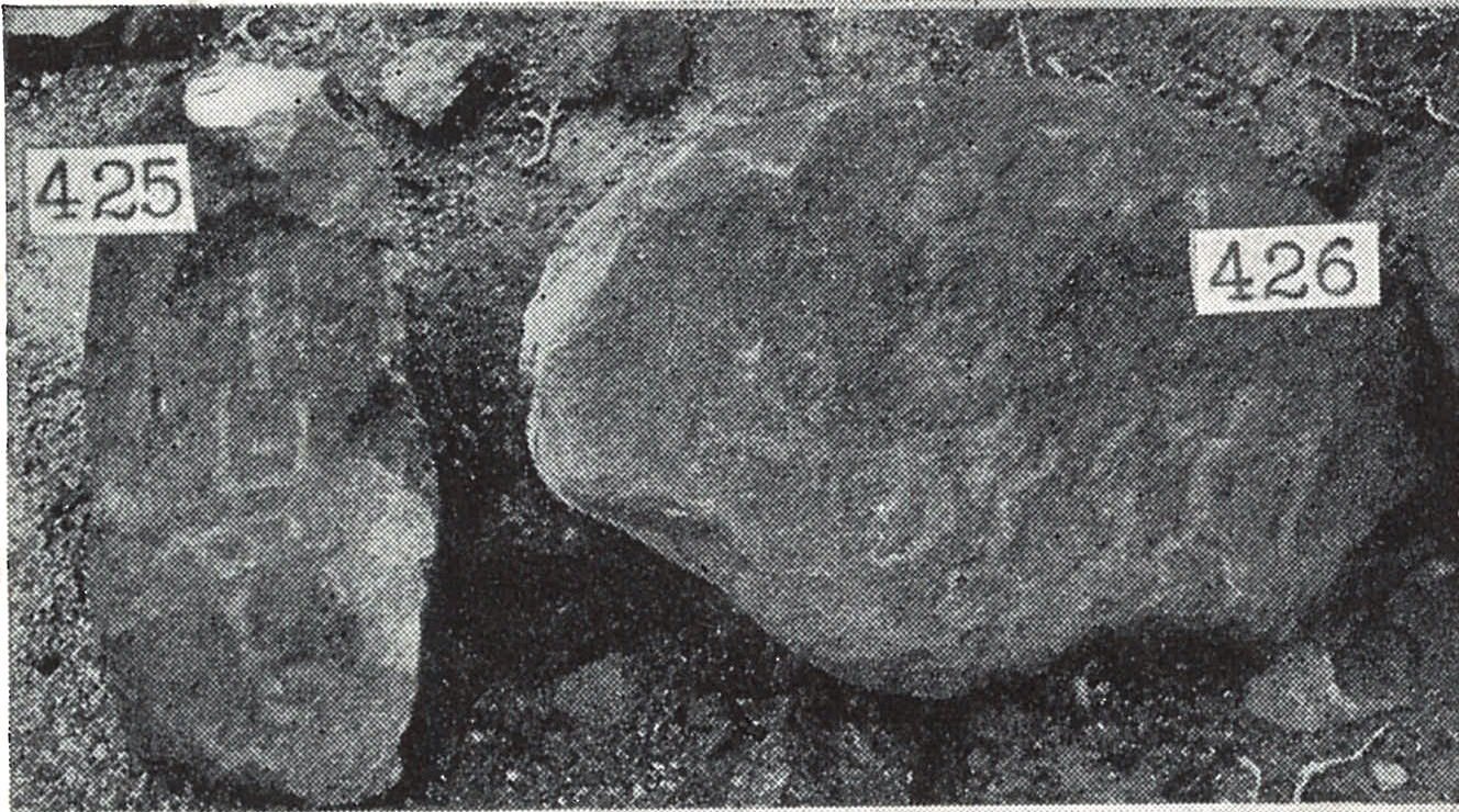 inscription of siglum TIJ 426