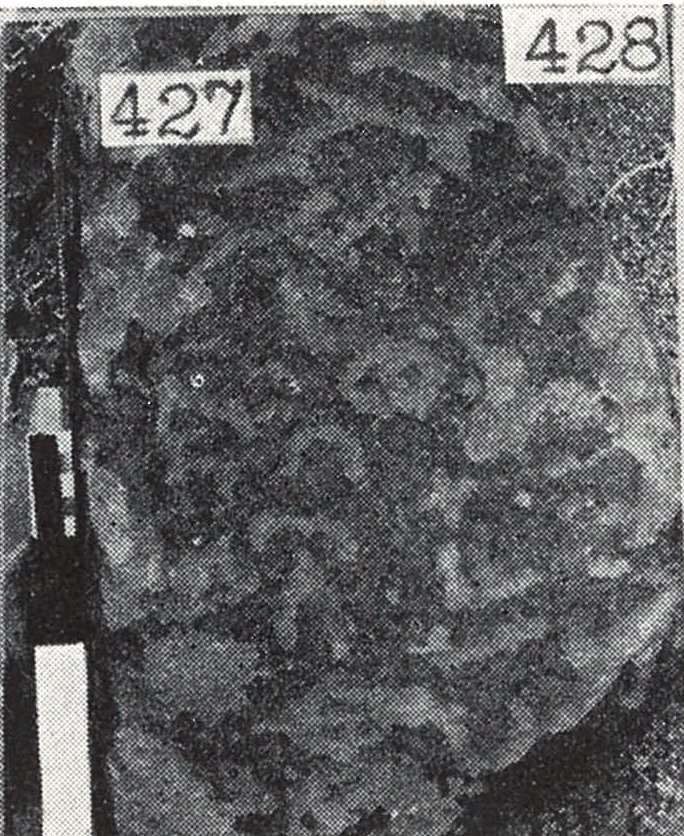 inscription of siglum TIJ 427