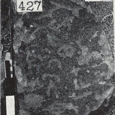 inscription of siglum TIJ 428
