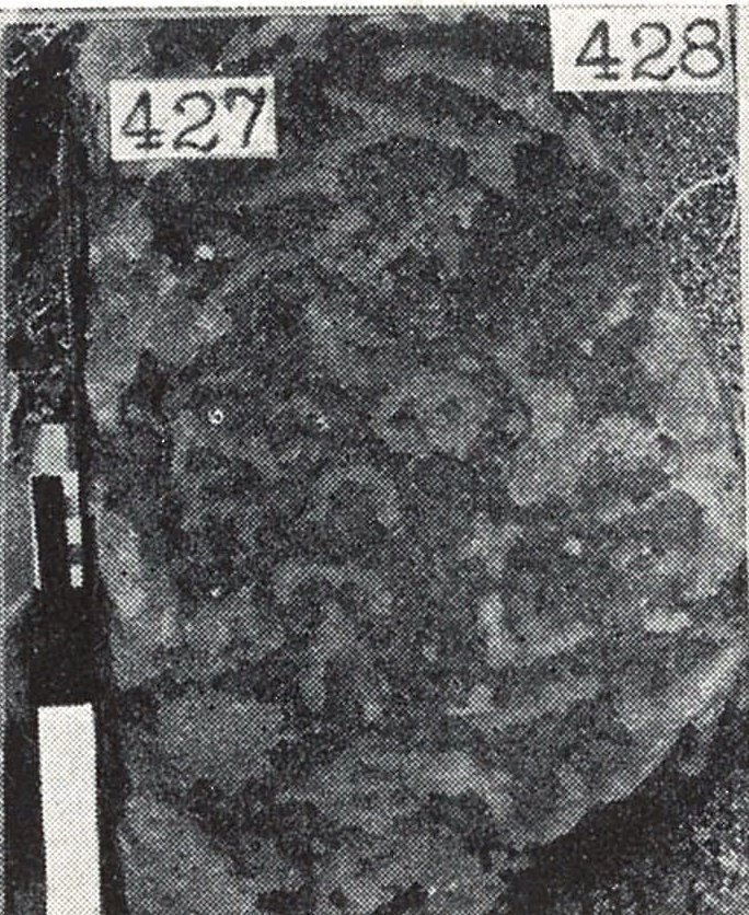 inscription of siglum TIJ 428