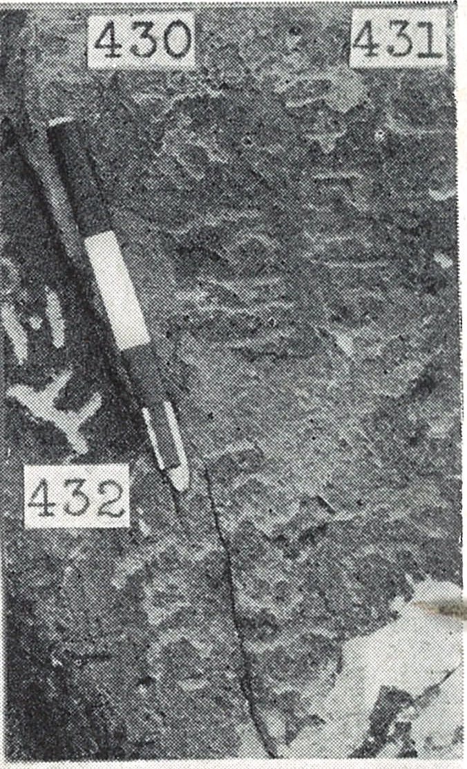 inscription of siglum TIJ 430