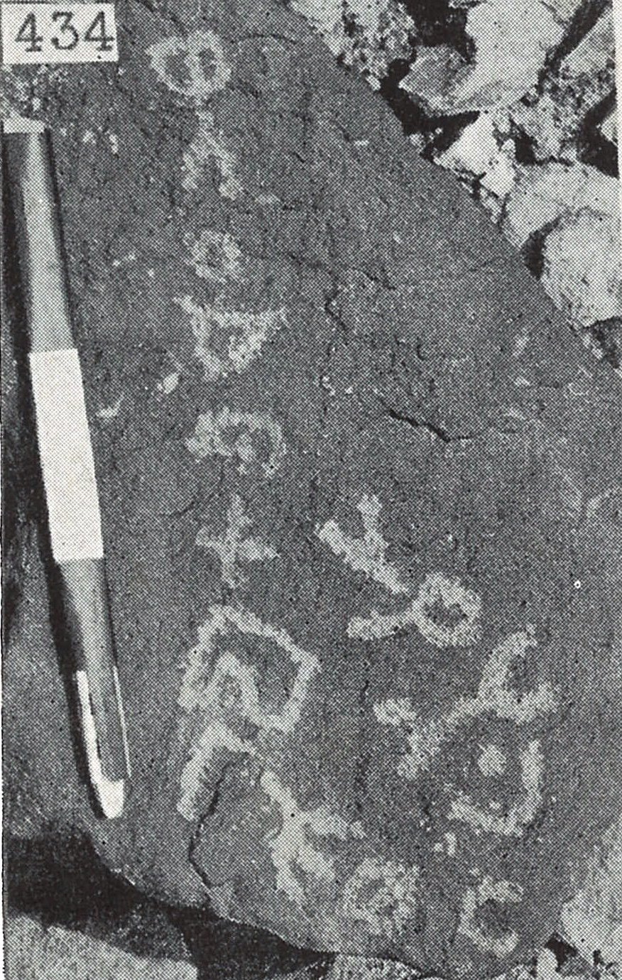 inscription of siglum TIJ 434