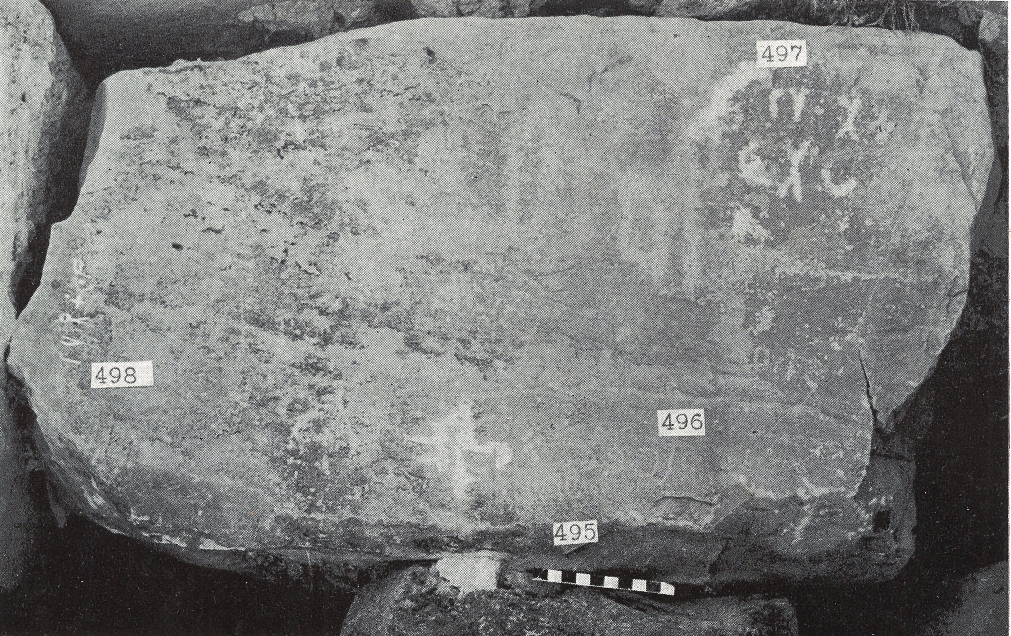 inscription of siglum TIJ 497