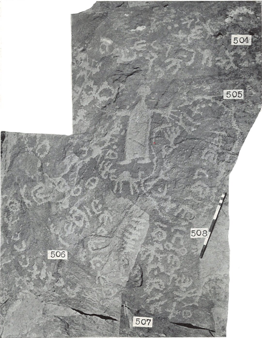 inscription of siglum TIJ 504