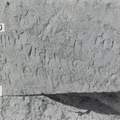 inscription of siglum TIJ 509