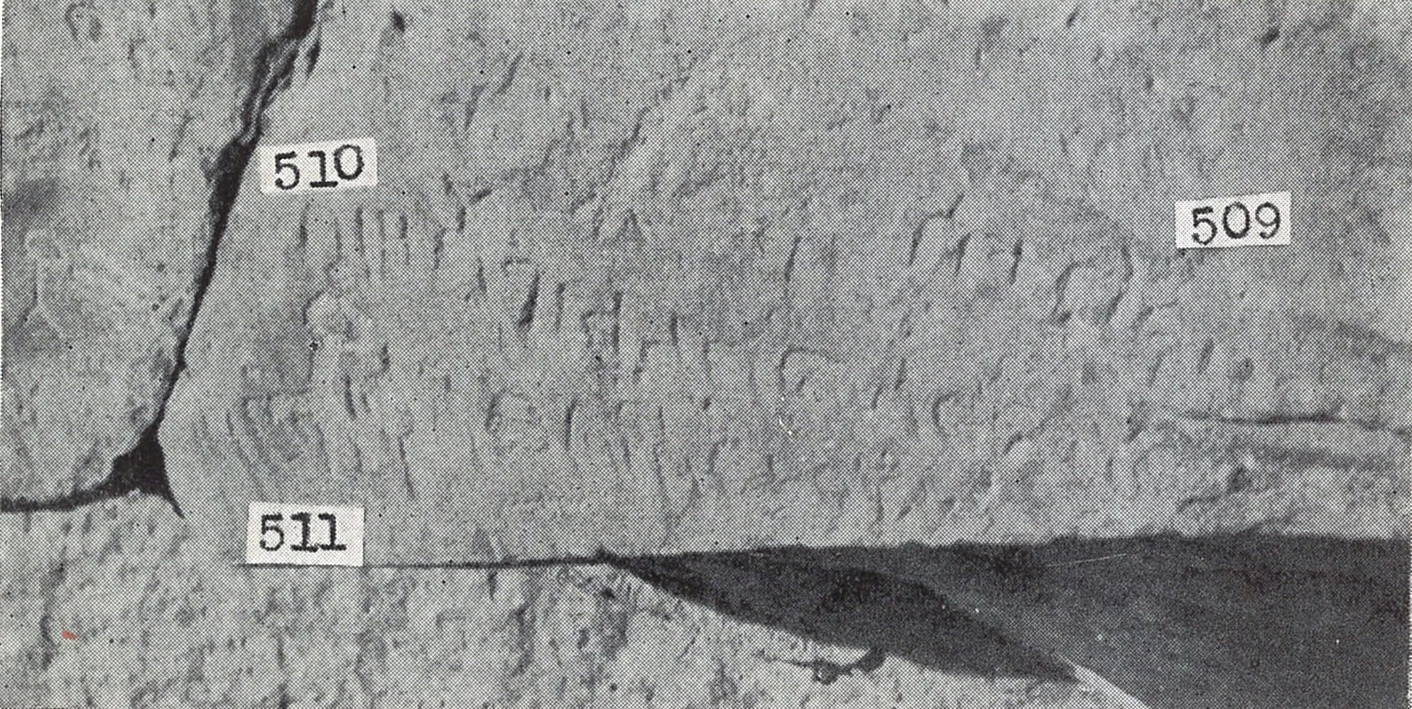 inscription of siglum TIJ 509