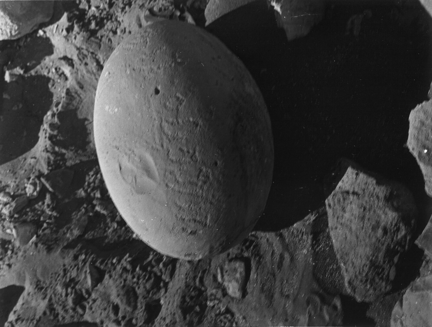 inscription of siglum TIJ 519