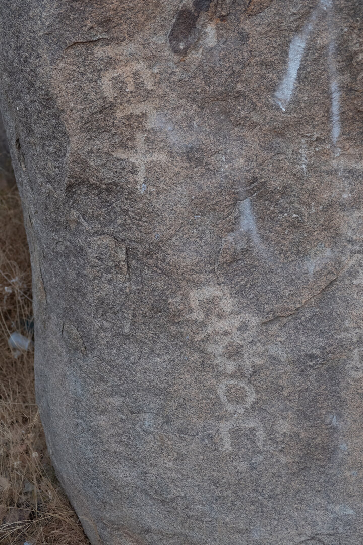 Image of TMES 14