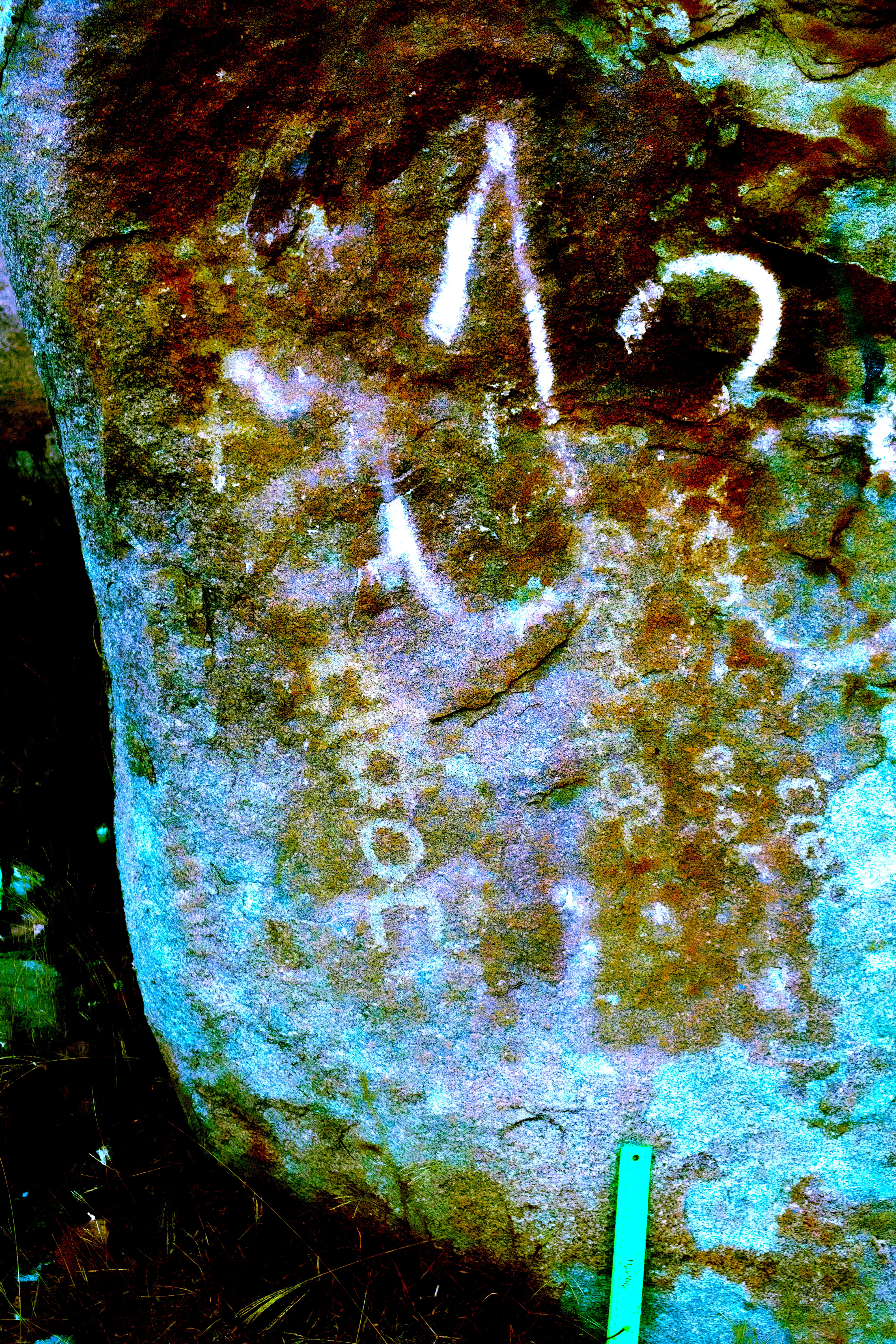 Image of TMES 14-15 panel