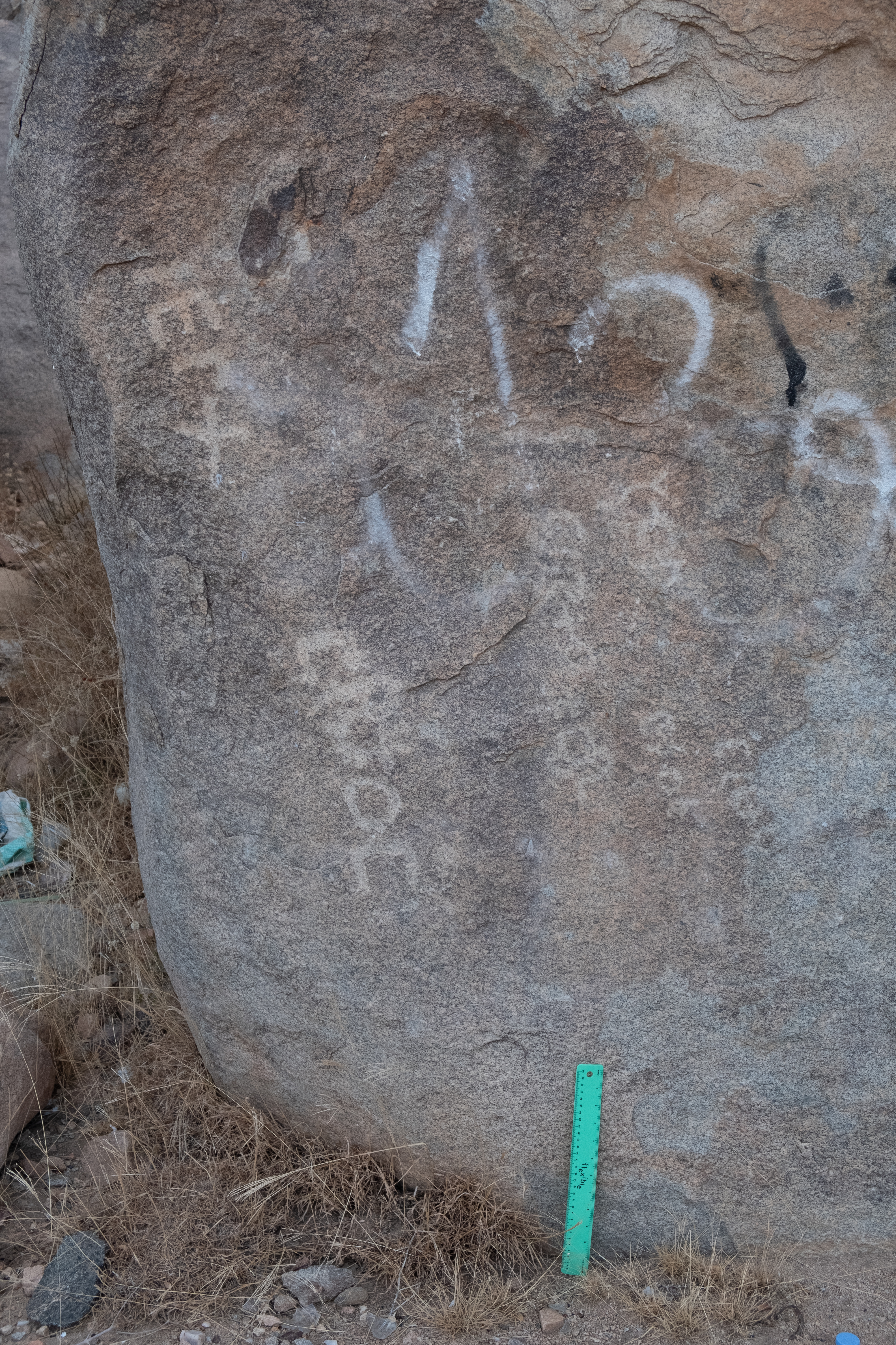 Image of TMES 14-15 panel