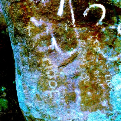 Image of TMES 14-15 panel