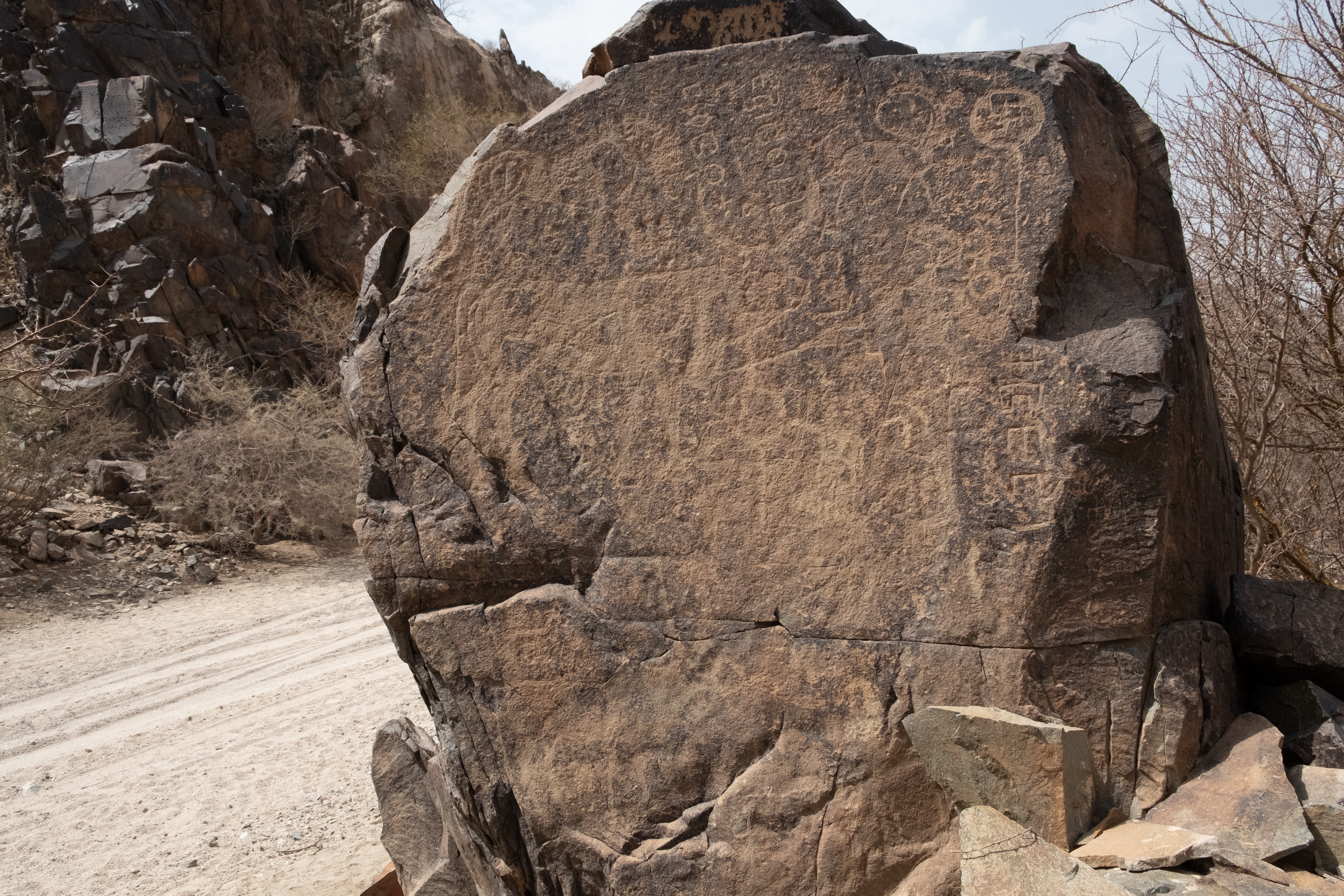 Panel image of TMES 31-35