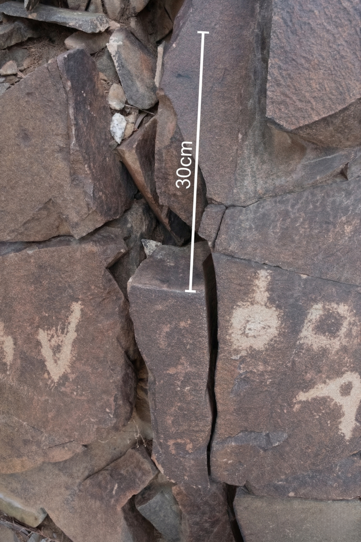 Image of TMES 43