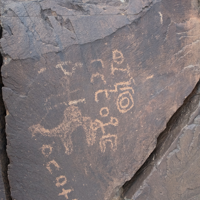 Image of panel TMES 49-50