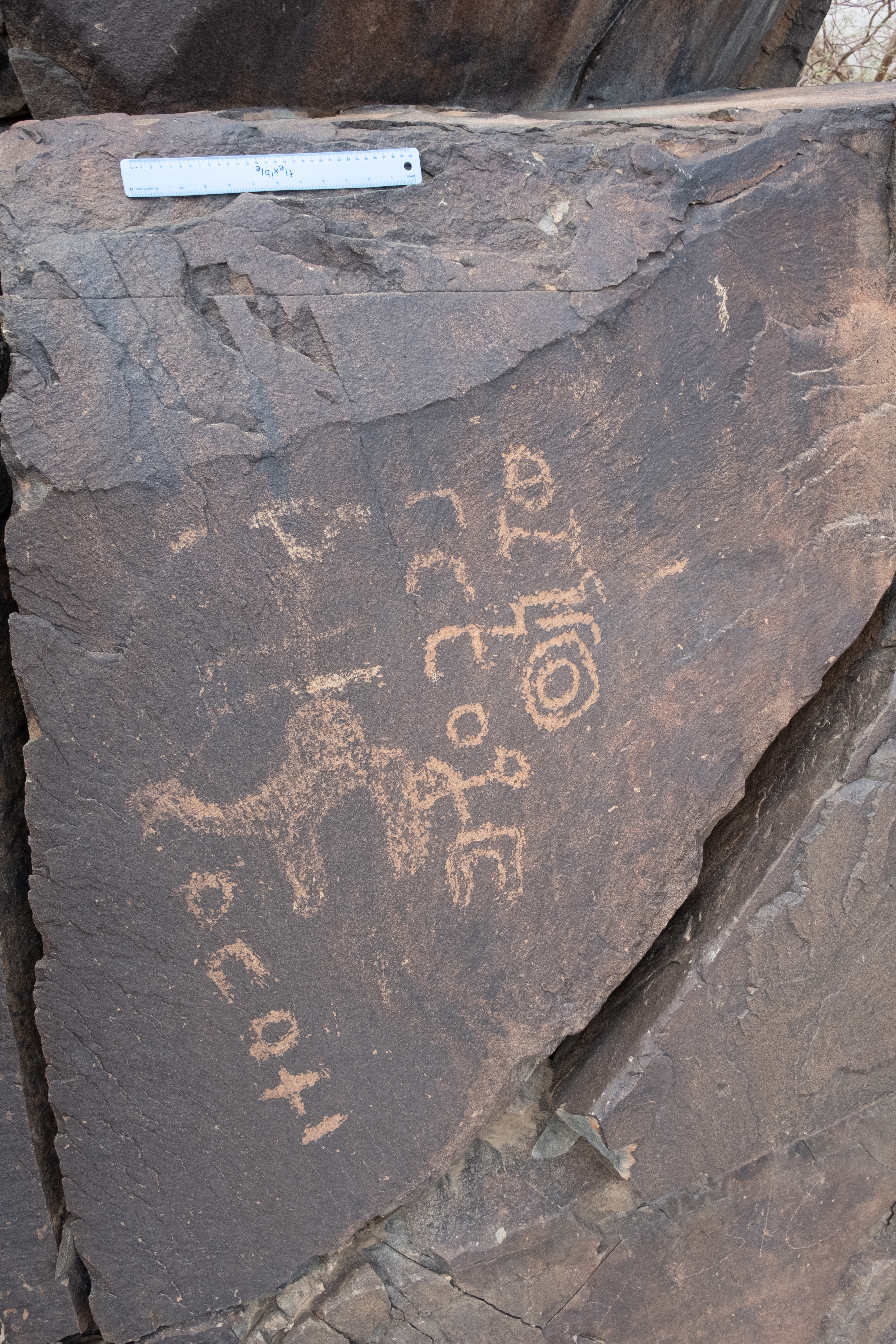 Image of panel TMES 49-50