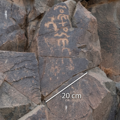Image of TMES 51