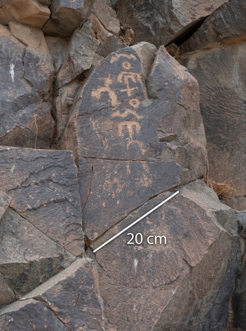 Image of TMES 51