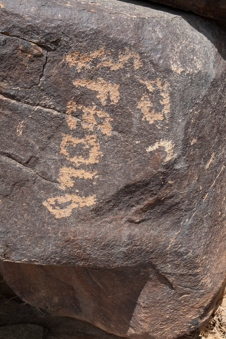Image of TMES 67