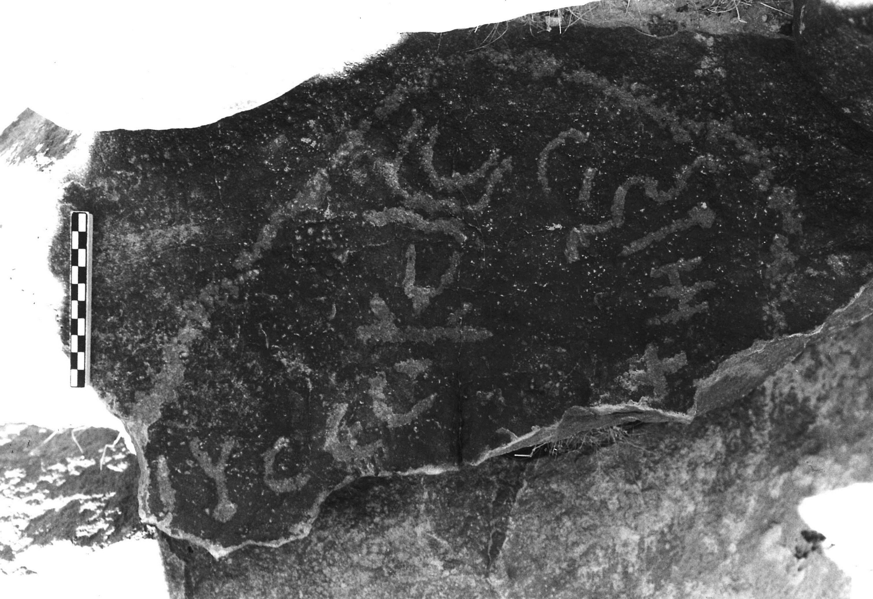 inscription of siglum TaLNS 4