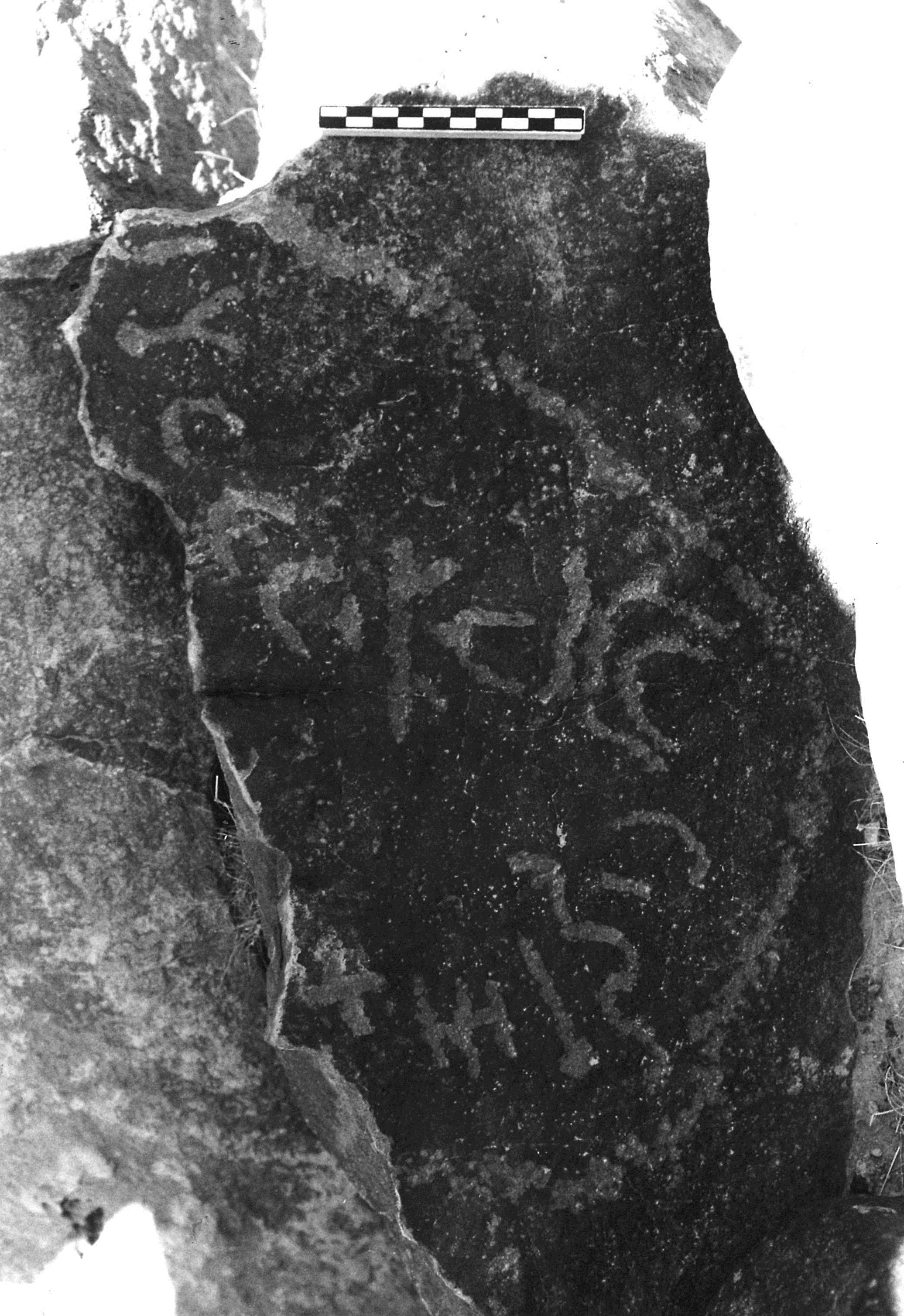 inscription of siglum TaLNS 48