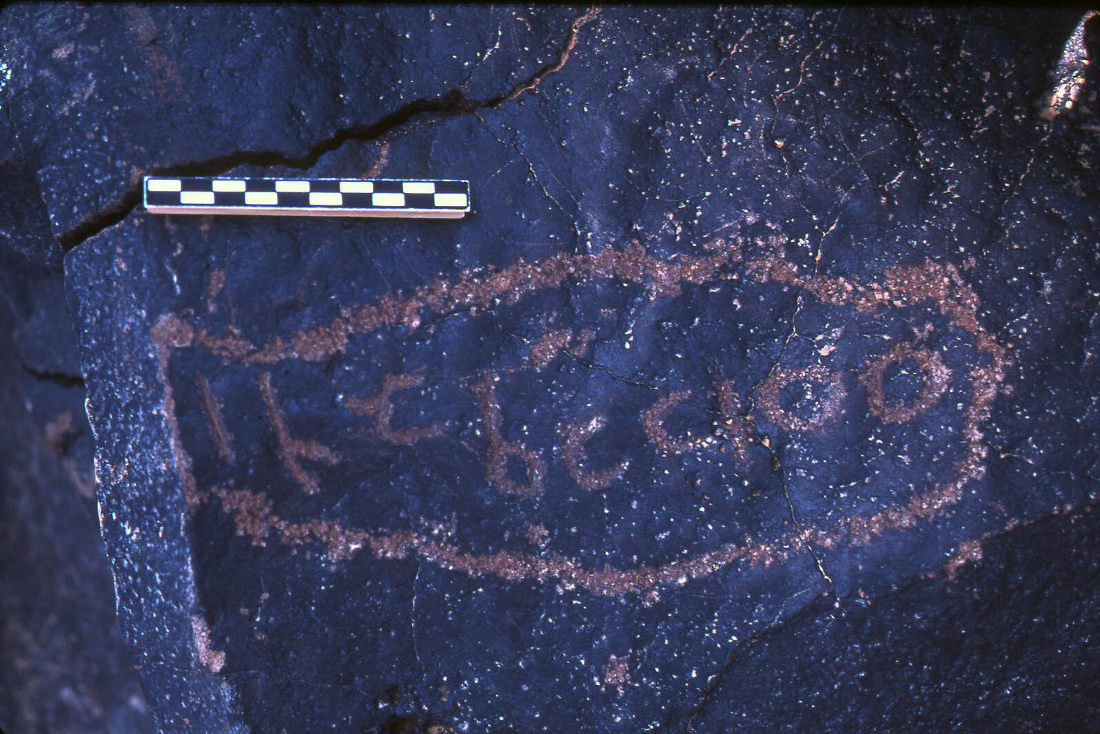 inscription of siglum TaLNS 50