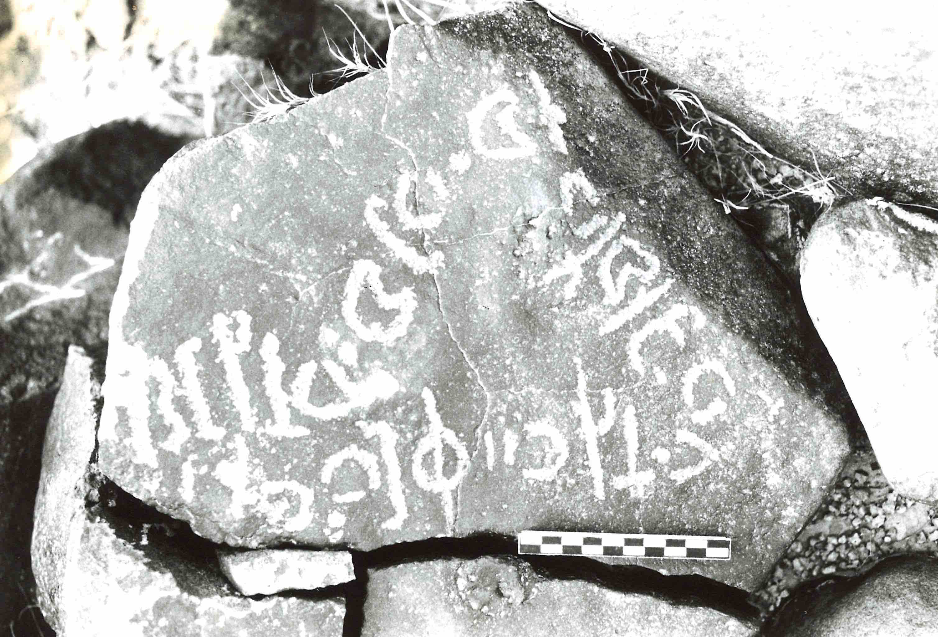 inscription of siglum TaLNS 6