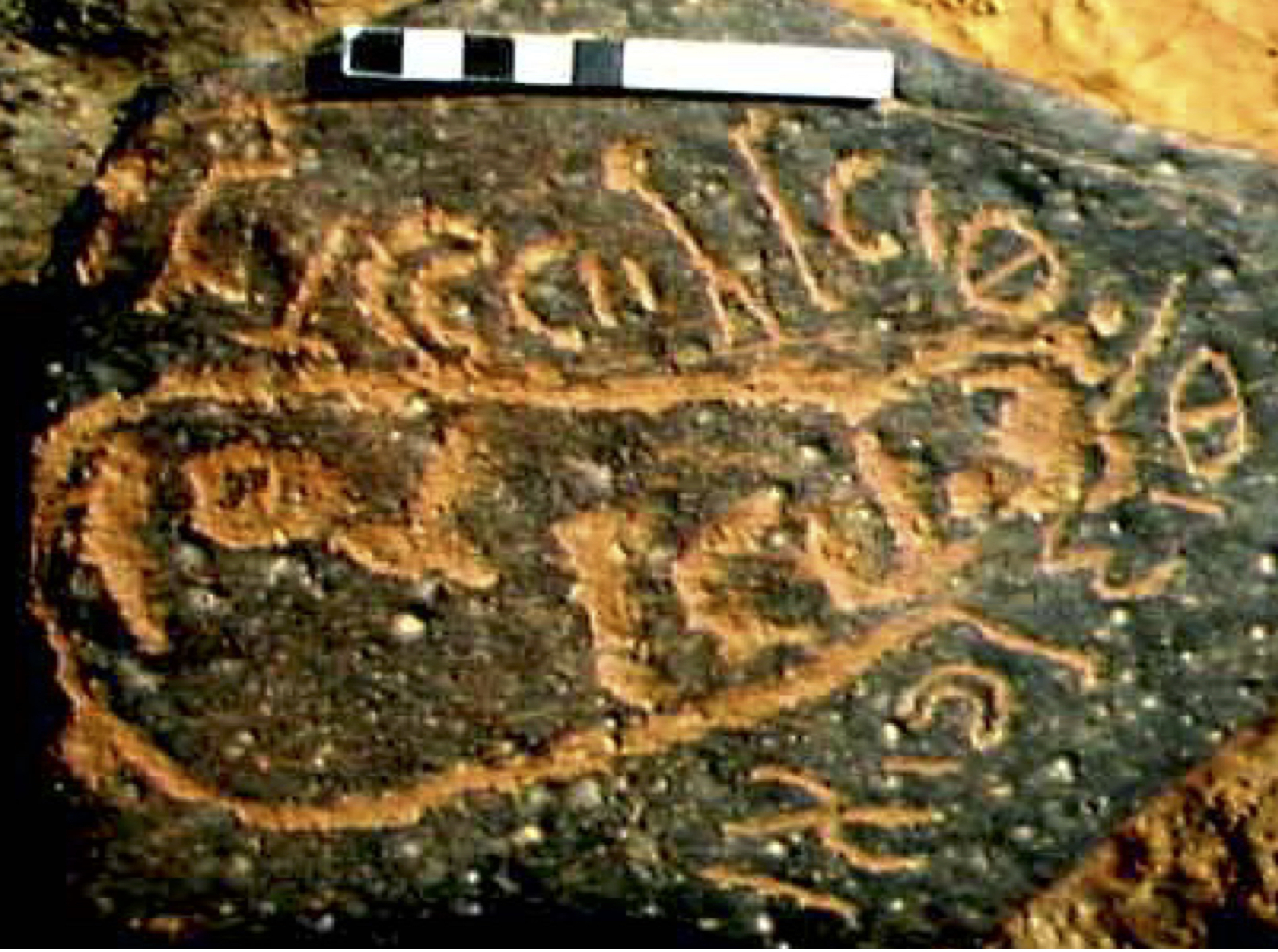 inscription of siglum TaNQF 1