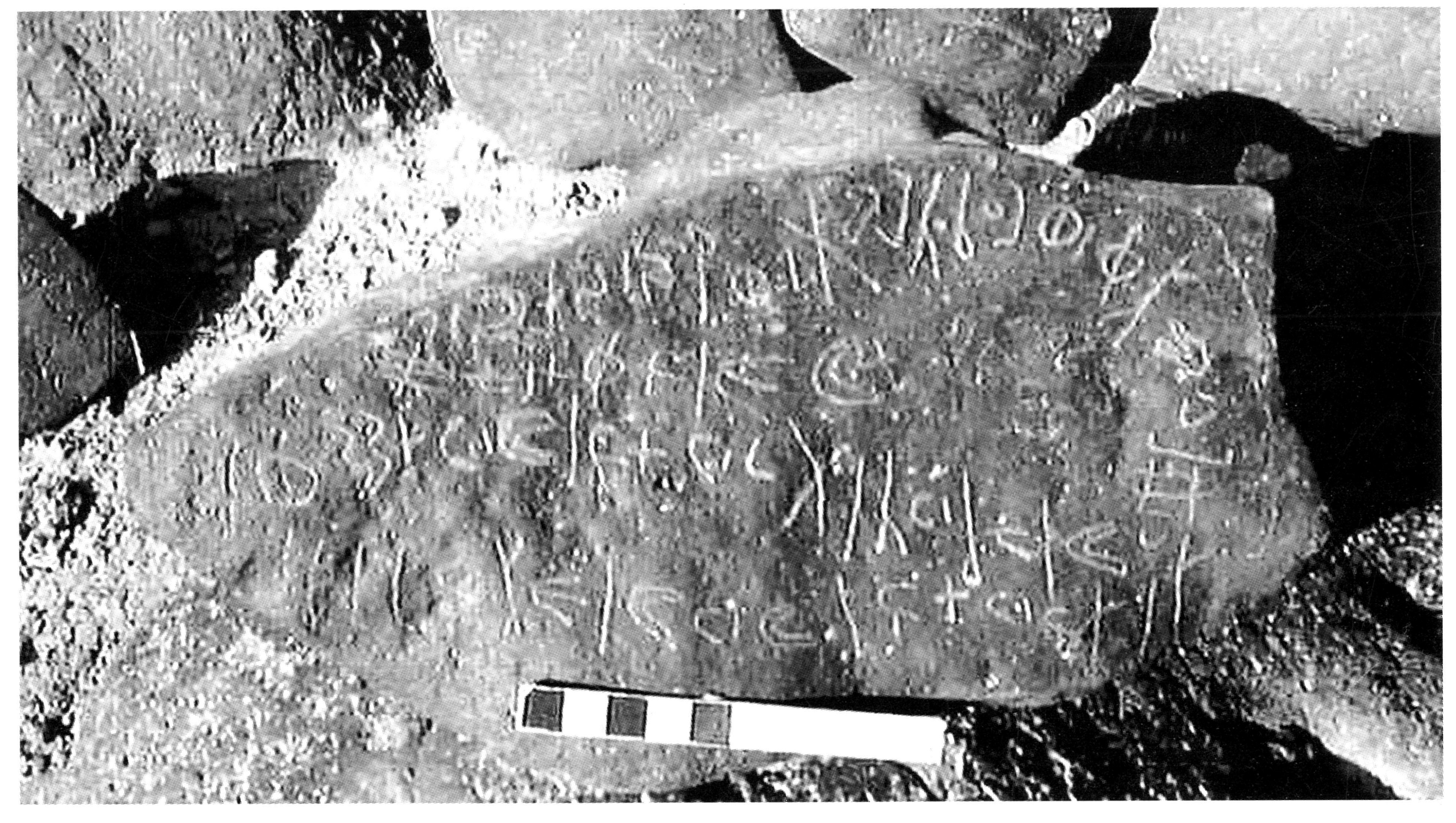 inscription of siglum TaNS 1