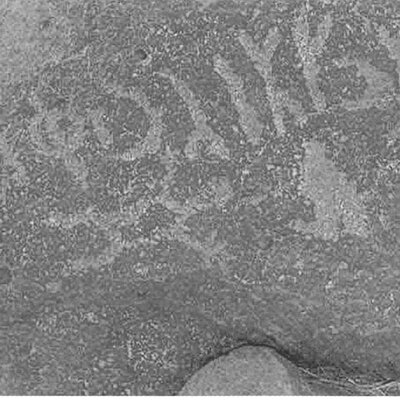 inscription of siglum TaNS 4