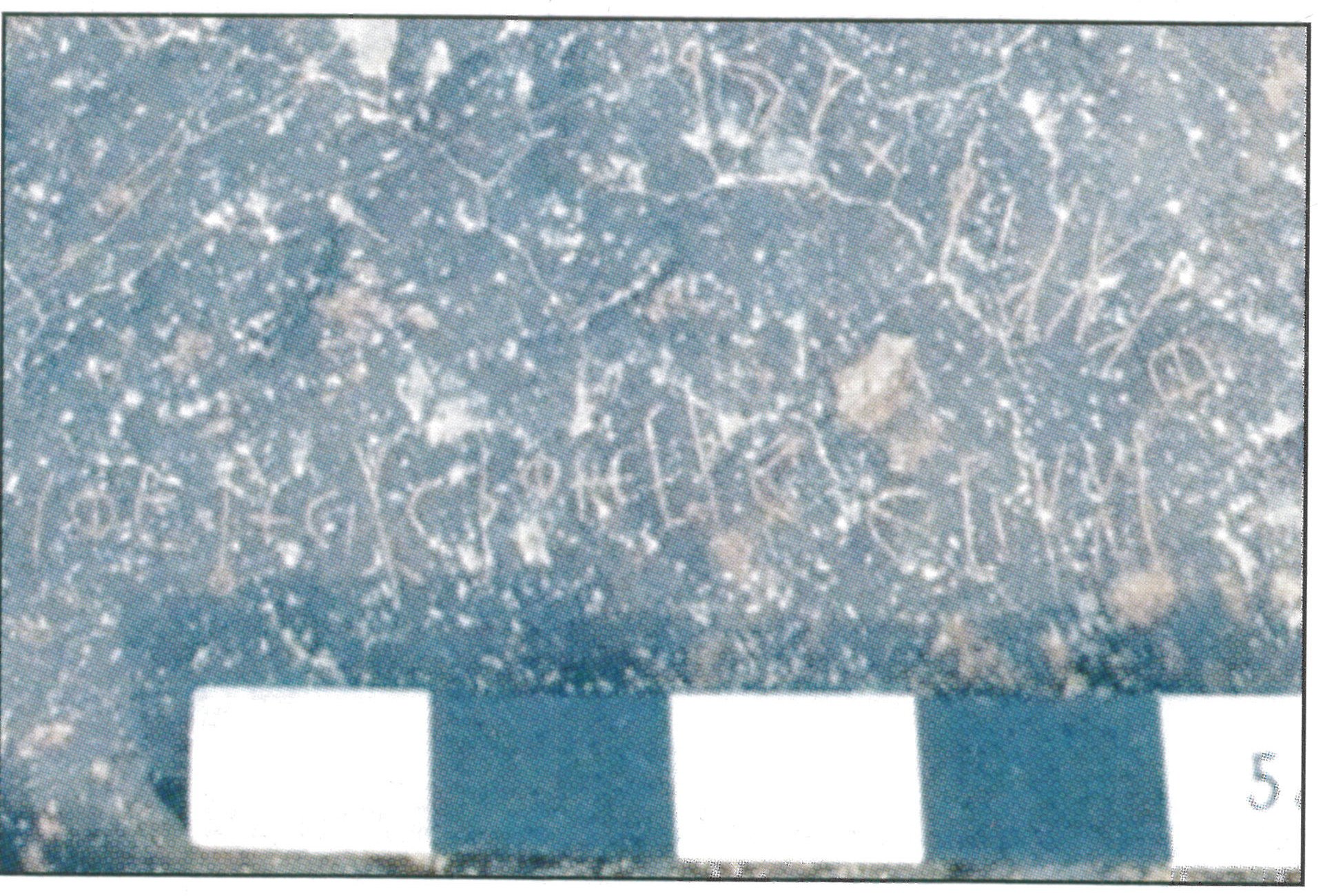 inscription of siglum TaSTF 5