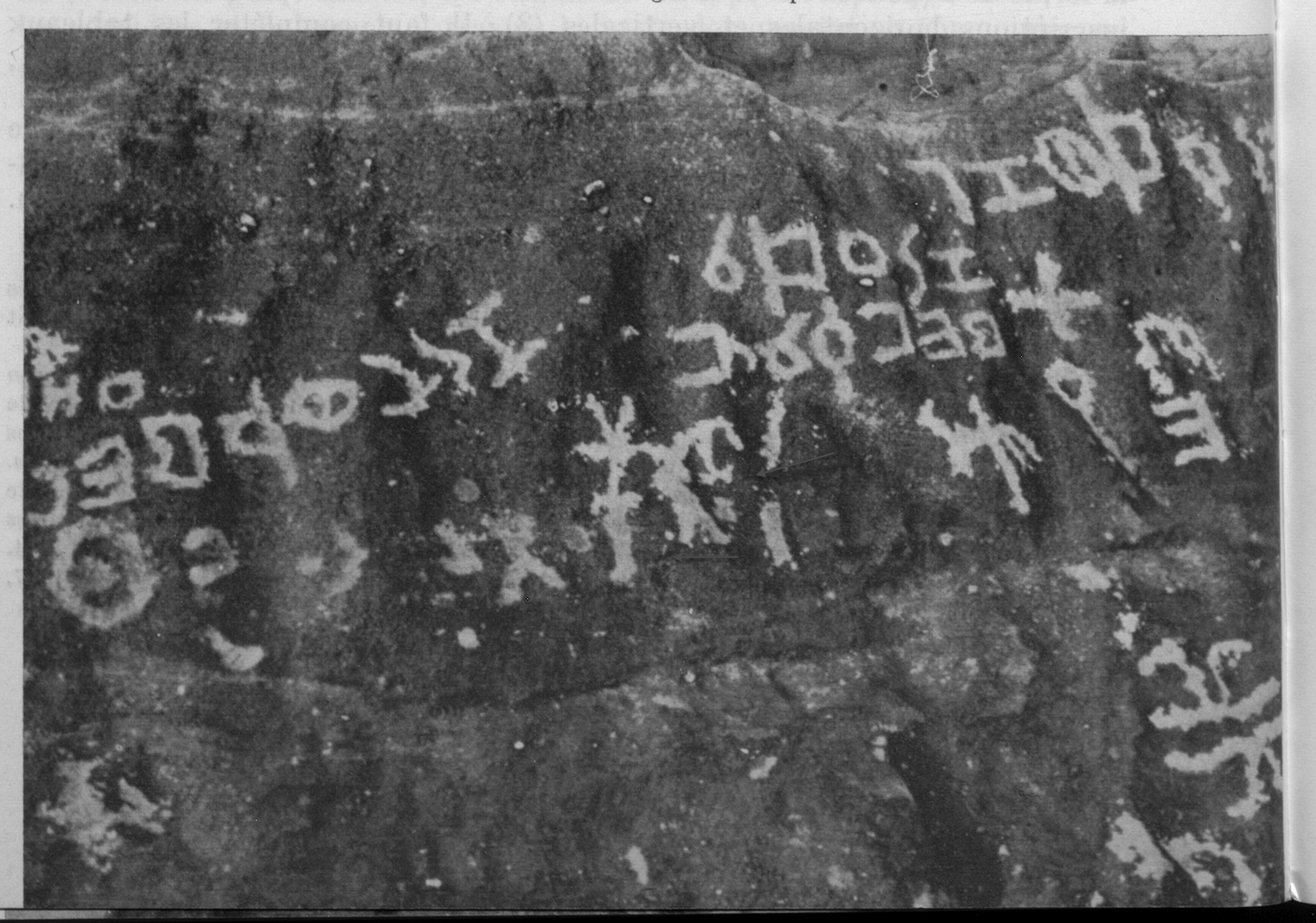 inscription of siglum Tdr 9