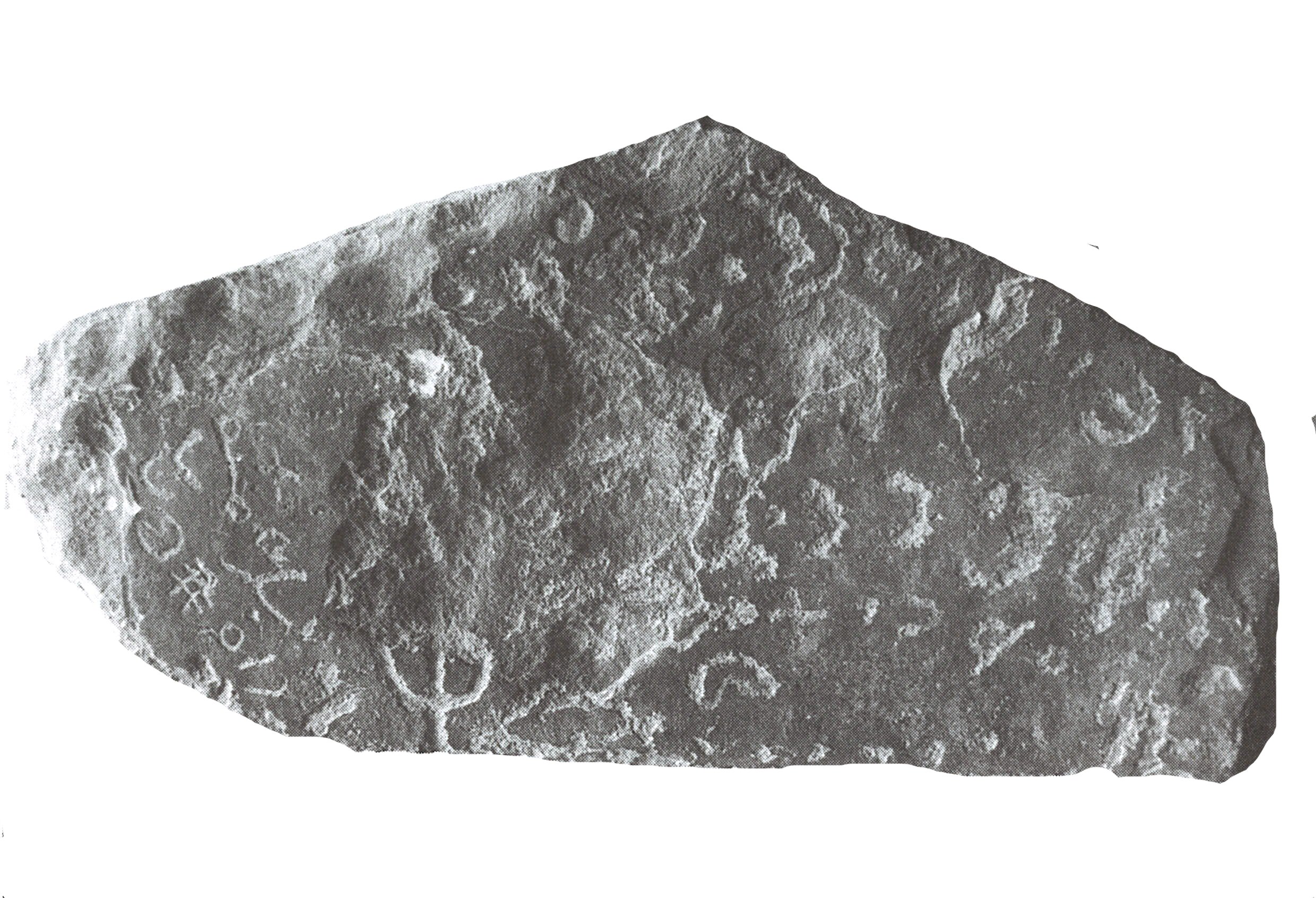 inscription of siglum ThNSM.III 3.2