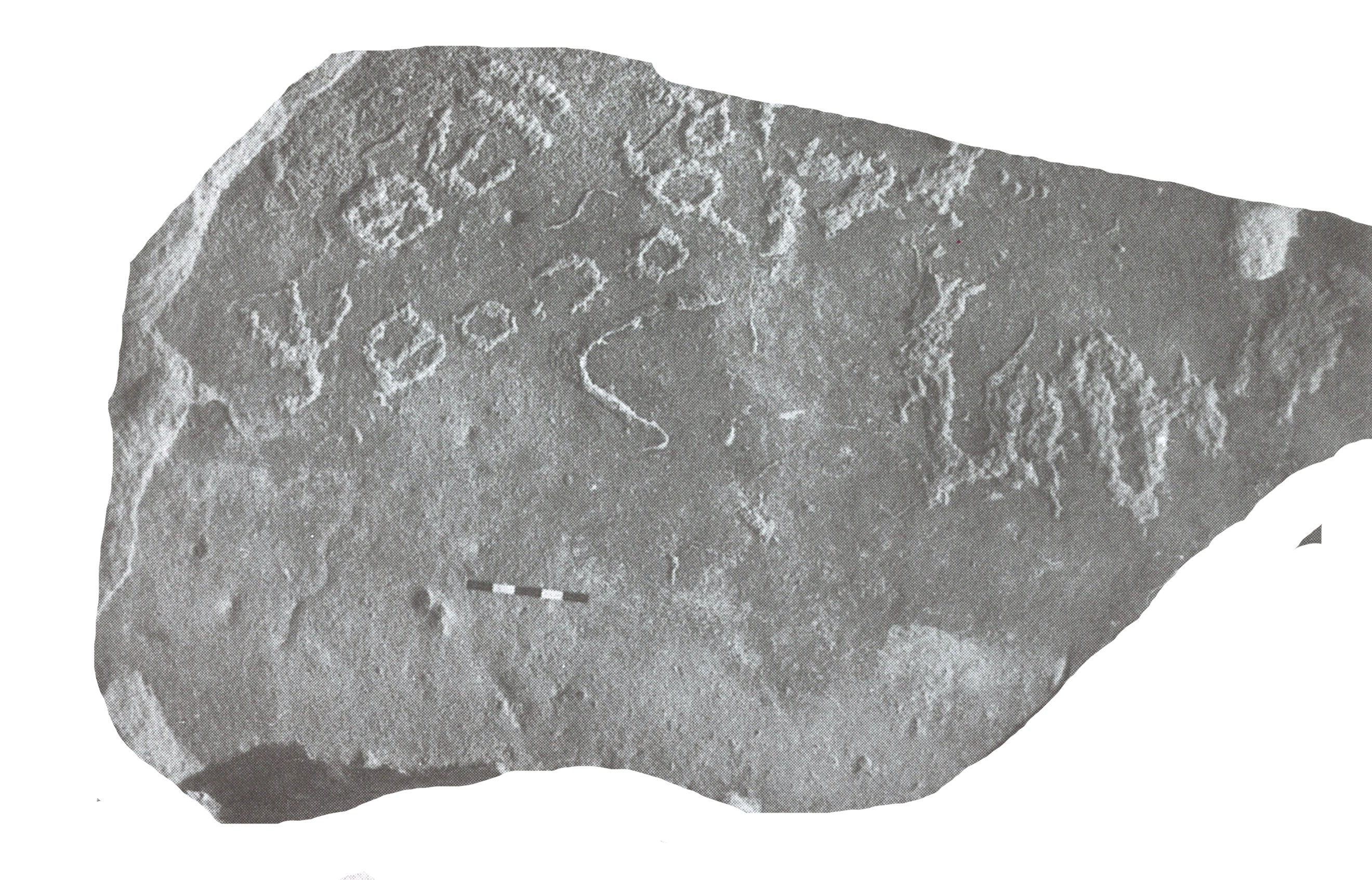 inscription of siglum ThSaf 38.1