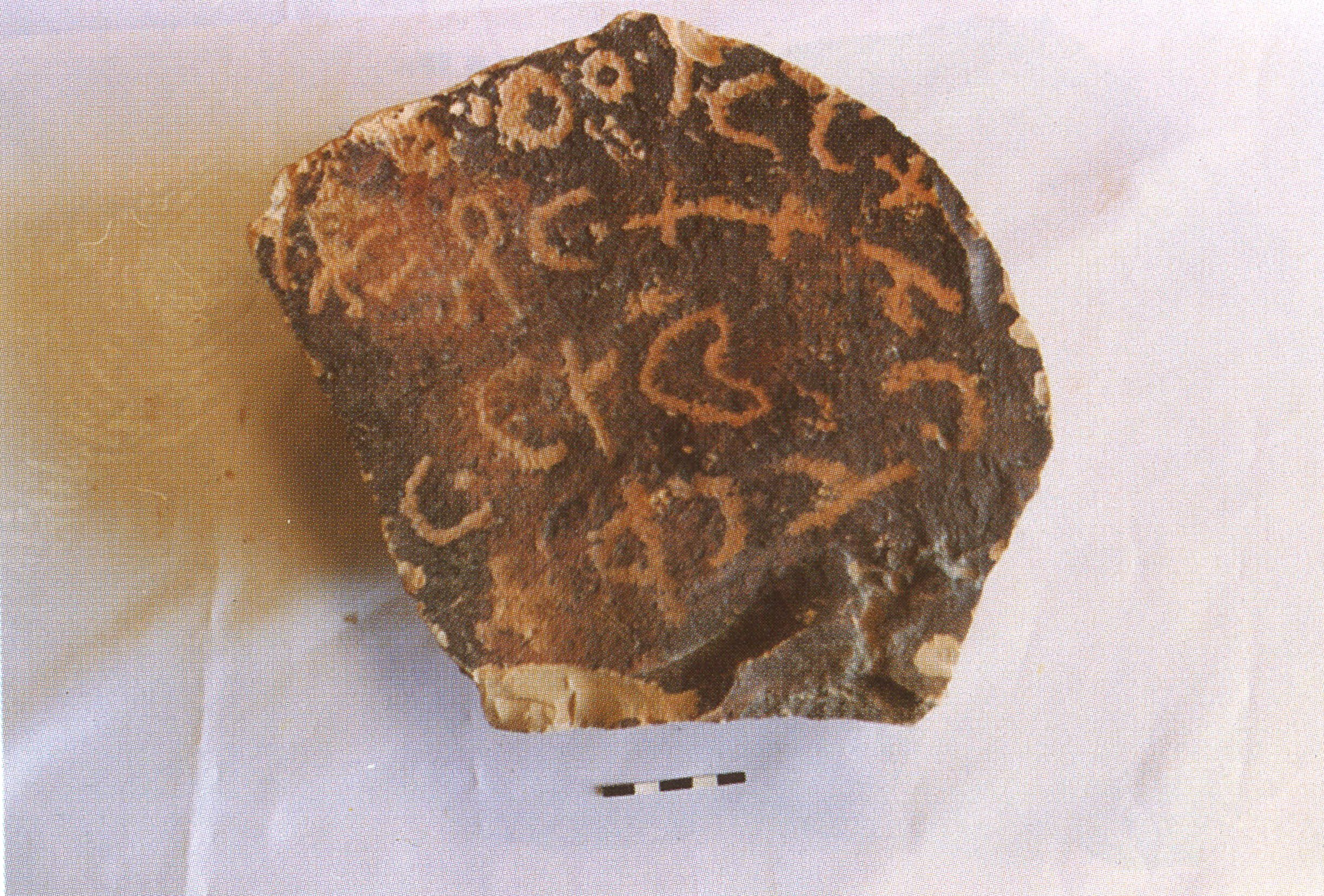 inscription of siglum ThSaf 40