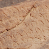 inscription of siglum U 027