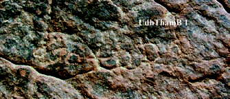Image of UdhTham 1