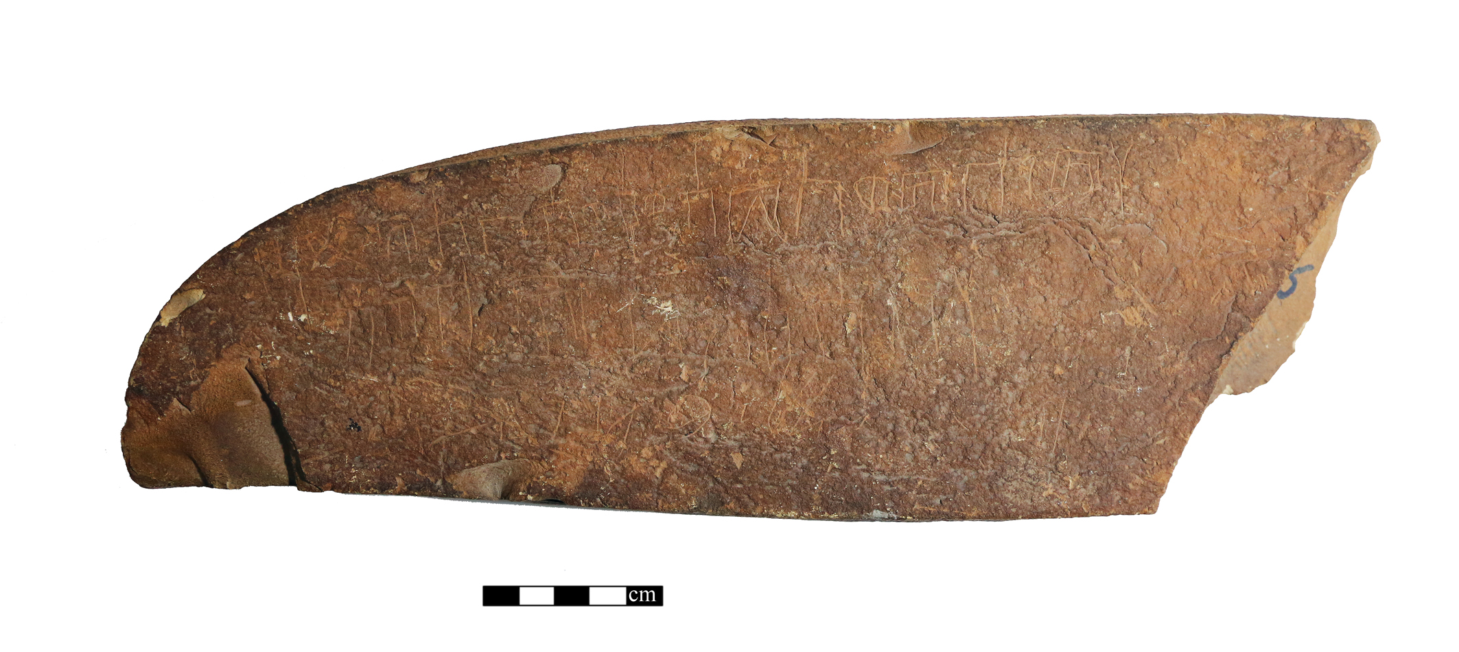 Image of W.Bāyir-YU 2