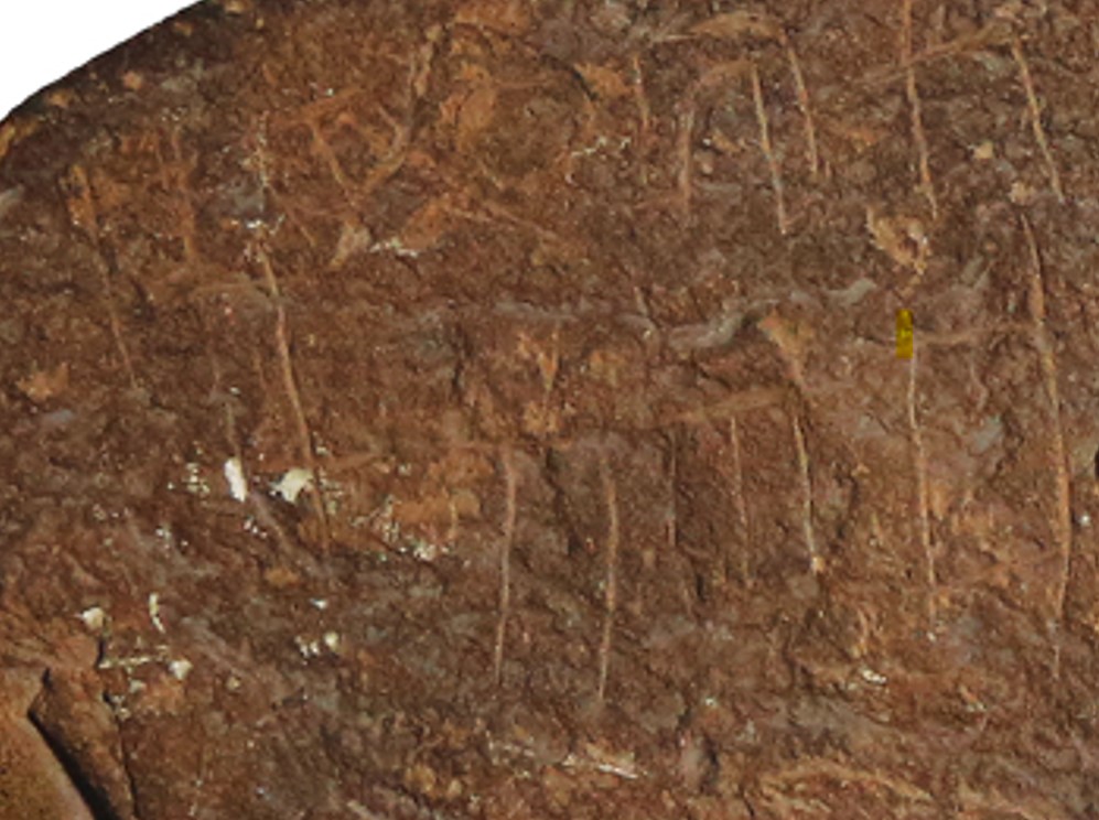 Image of W.Bāyir-YU 2