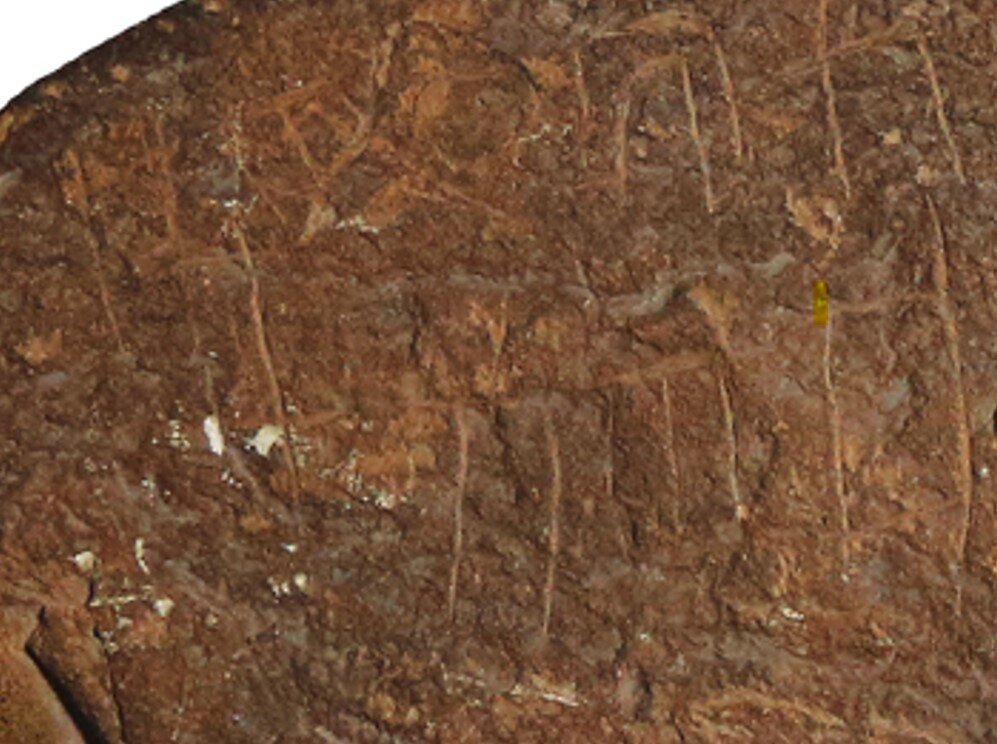 Image of W.Bāyir-YU 2