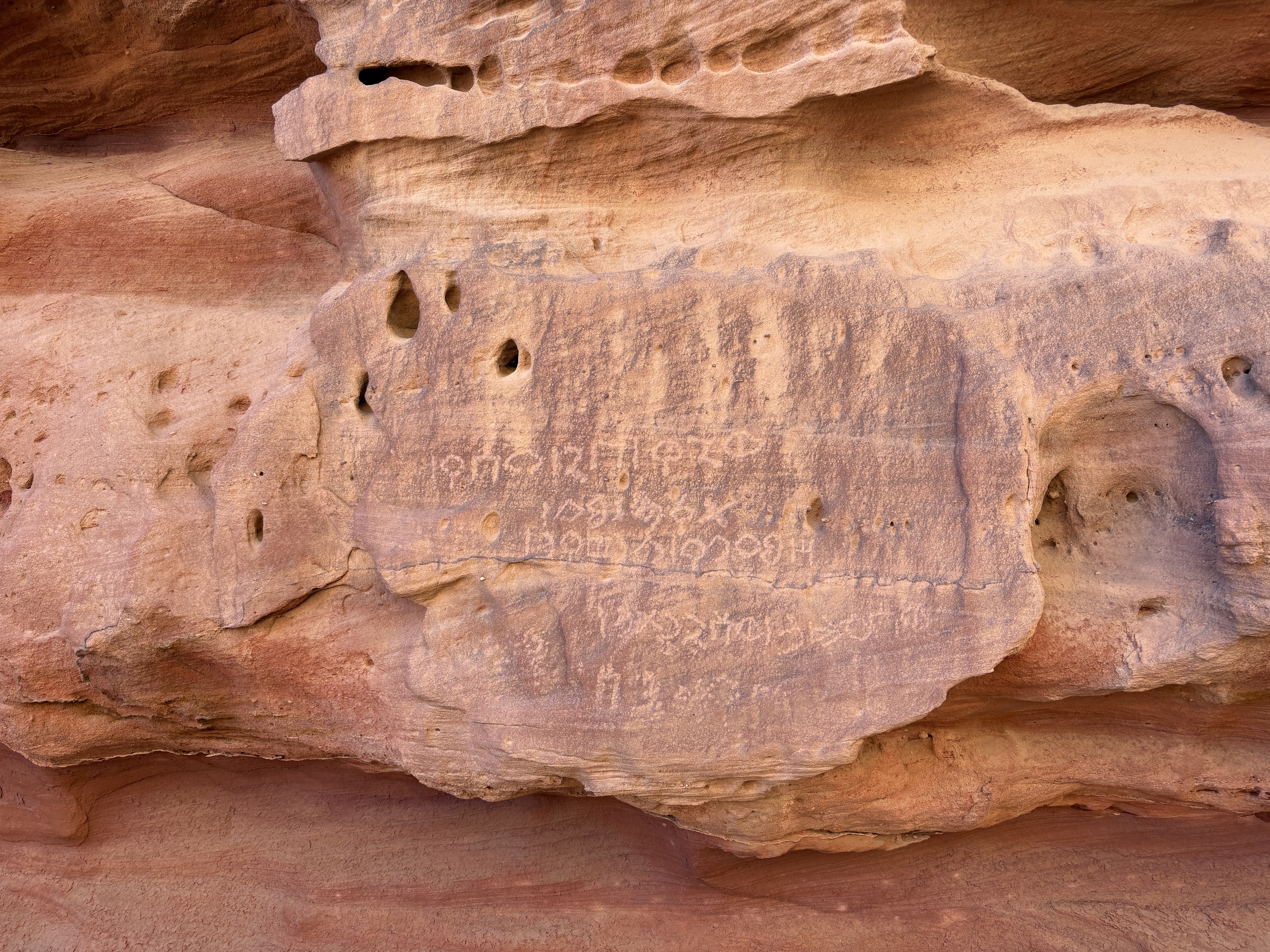 Image of W.Dad 16