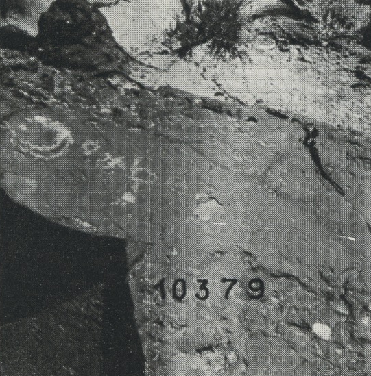 inscription of siglum WA 10379