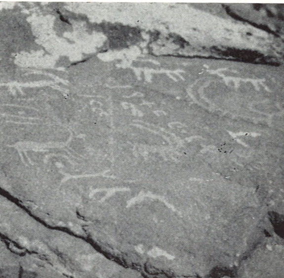 inscription of siglum WAM T 44