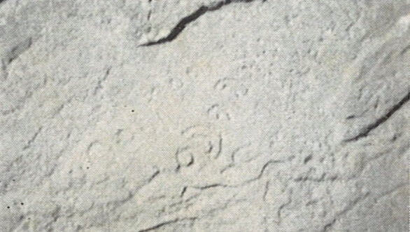 inscription of siglum WAM T 5