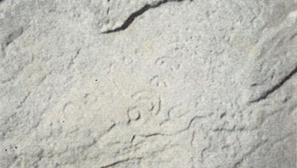 inscription of siglum WAM T 5