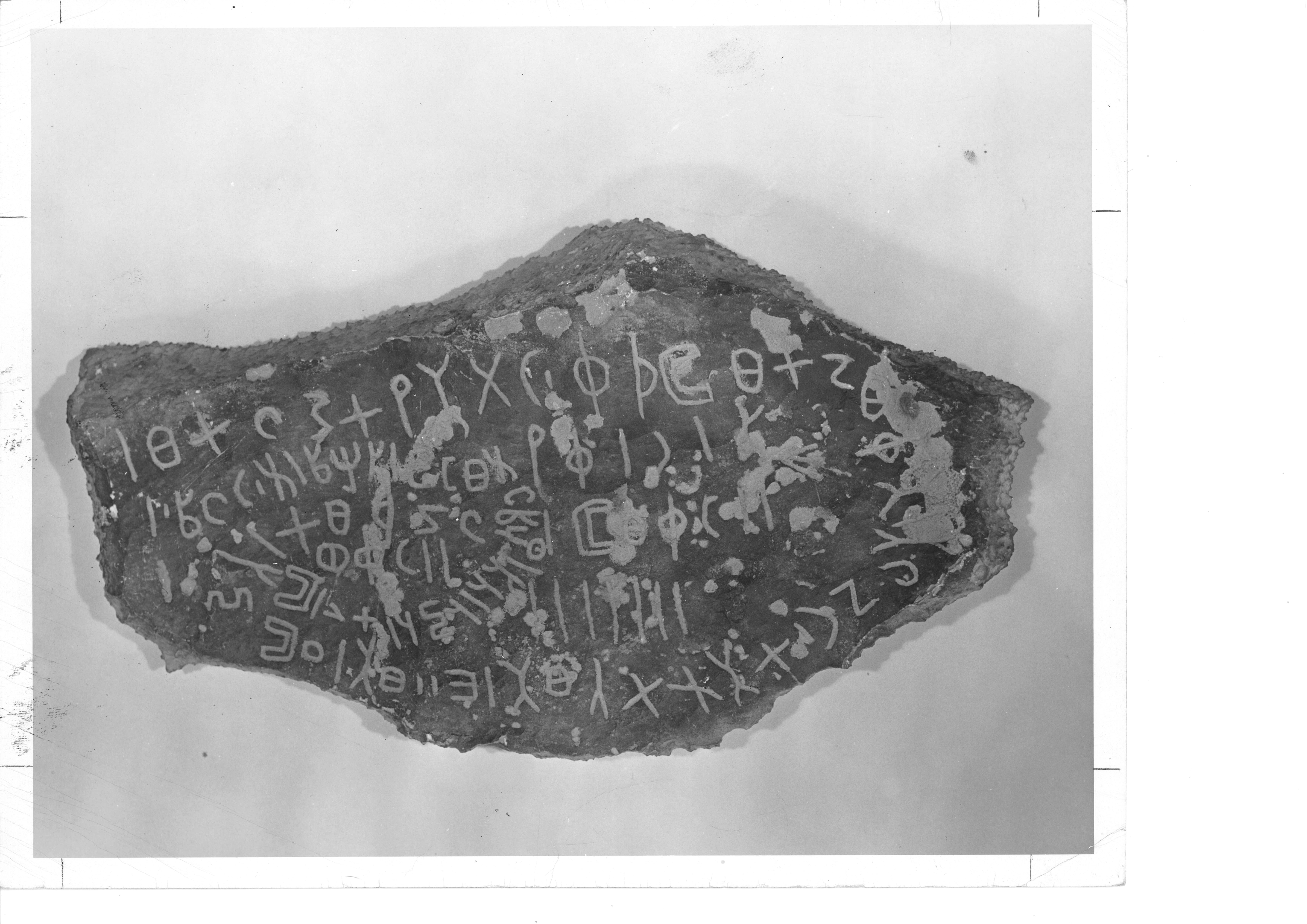 inscription of siglum WAMS 1